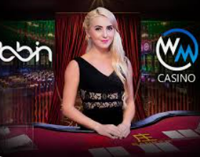 天庭娱乐3621官网版2024最新版